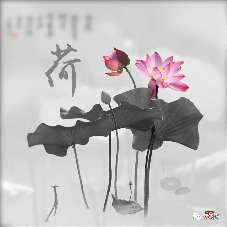 明道通胜 2020年7月14日