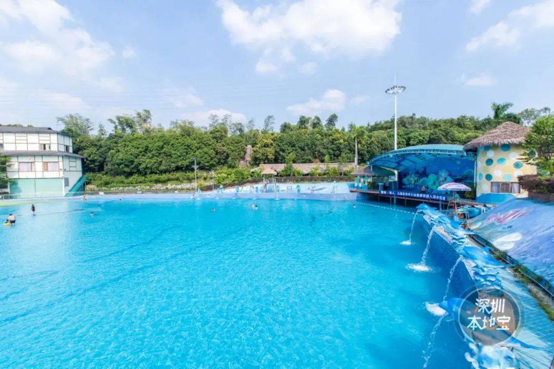 深圳这些游泳馆,水上乐园已开放!但大多需提前预约!