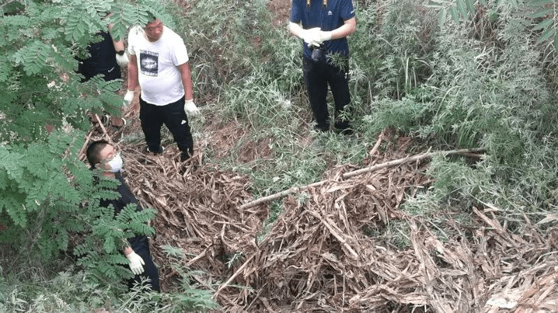 衣物|宁津一对夫妻离奇失踪 染血的衣物、带血的麦秸带出一桩杀人案
