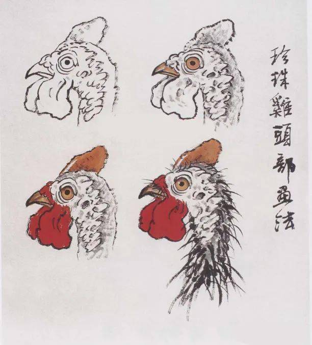 珍珠鸡头部无羽毛且肉皮粗糙,用笔勾线表现头部时水分要小,染淡墨时