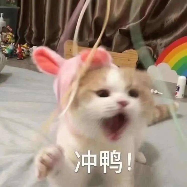 不要走开