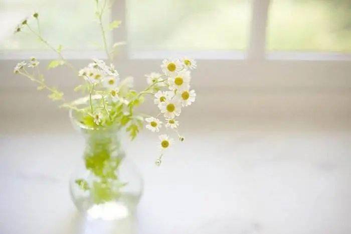 怎么样才能让自己不那么压抑 147c21f7039c48da9ad79fd343338f07.jpeg