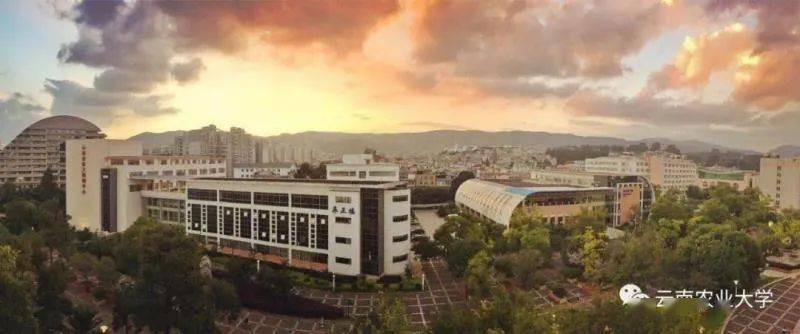 云南农业大学大排名_云南农业大学校长:大农业时代是大融合时代