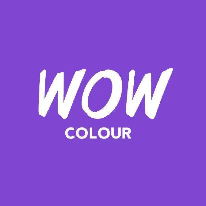 logo设计主要以英文  wow colour为主体