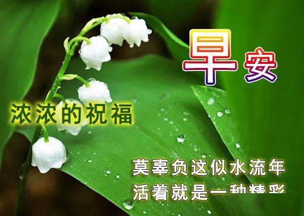 7月最新清晨早上好暖心祝福语动态表情鲜花图片,最漂亮早安问候语动画