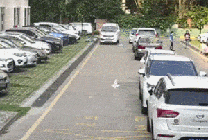 孩子|暑假，看好孩子！