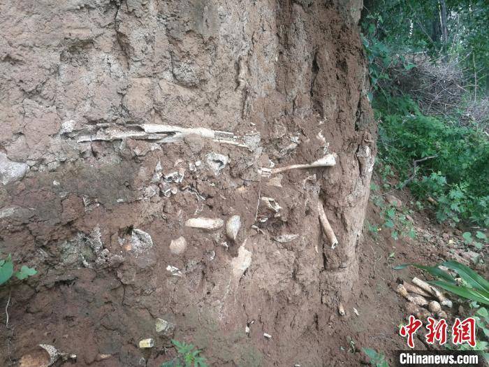 赵国数|山西发现疑似长平之战尸骨坑 这场战争还有哪些未解之谜？