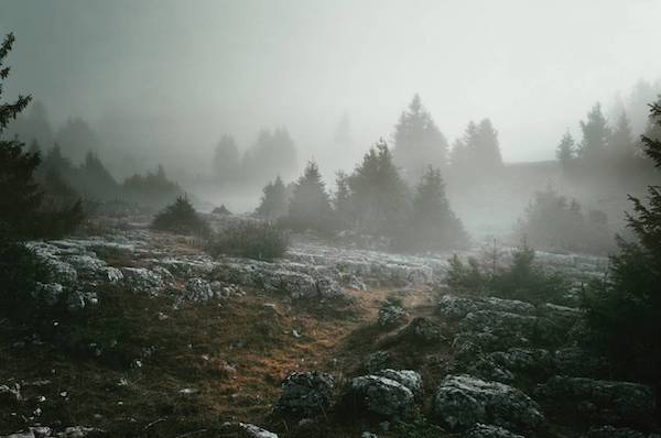 �����ӱ�ȥ���� | ��ʿ��ɽ�Ⱥ��Գ�Ϊ���ӱ��ȡ�