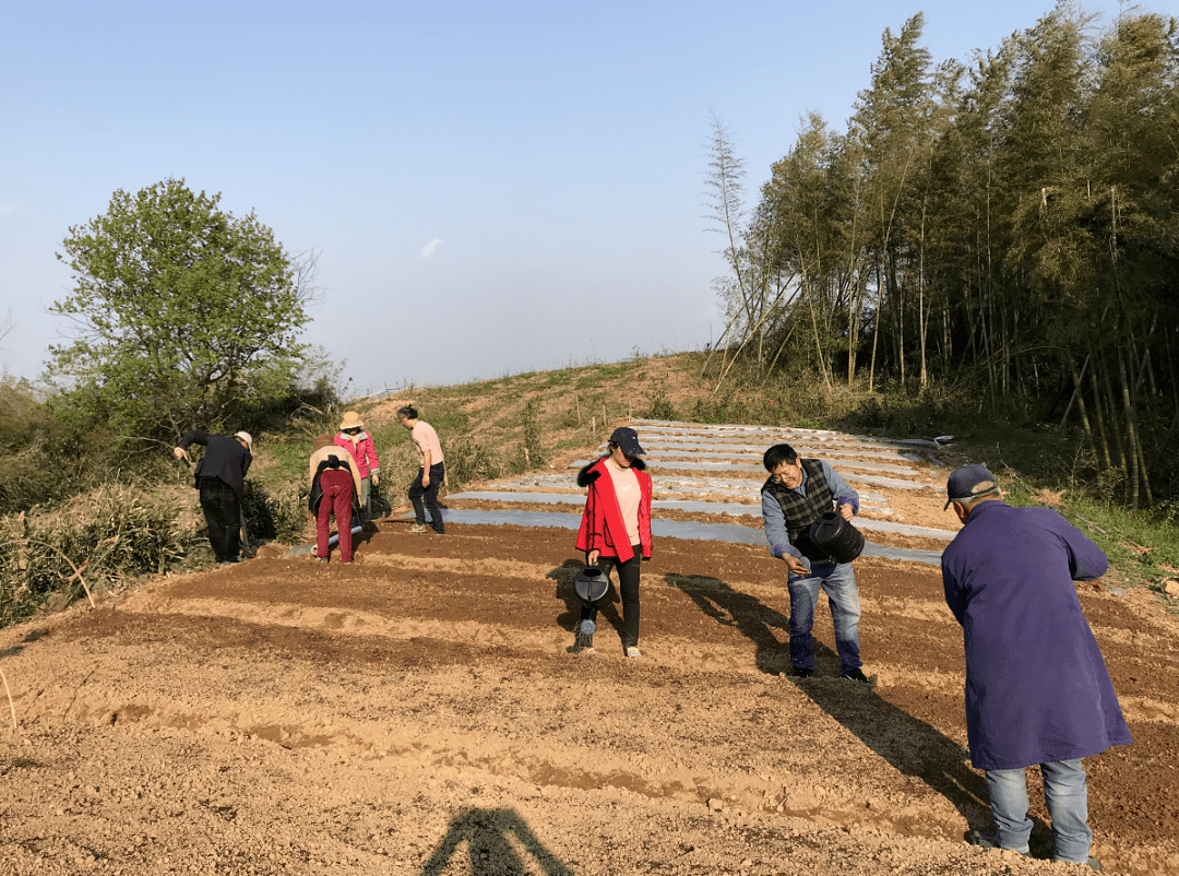 柯国柱:当好乡村振兴"拓荒人"