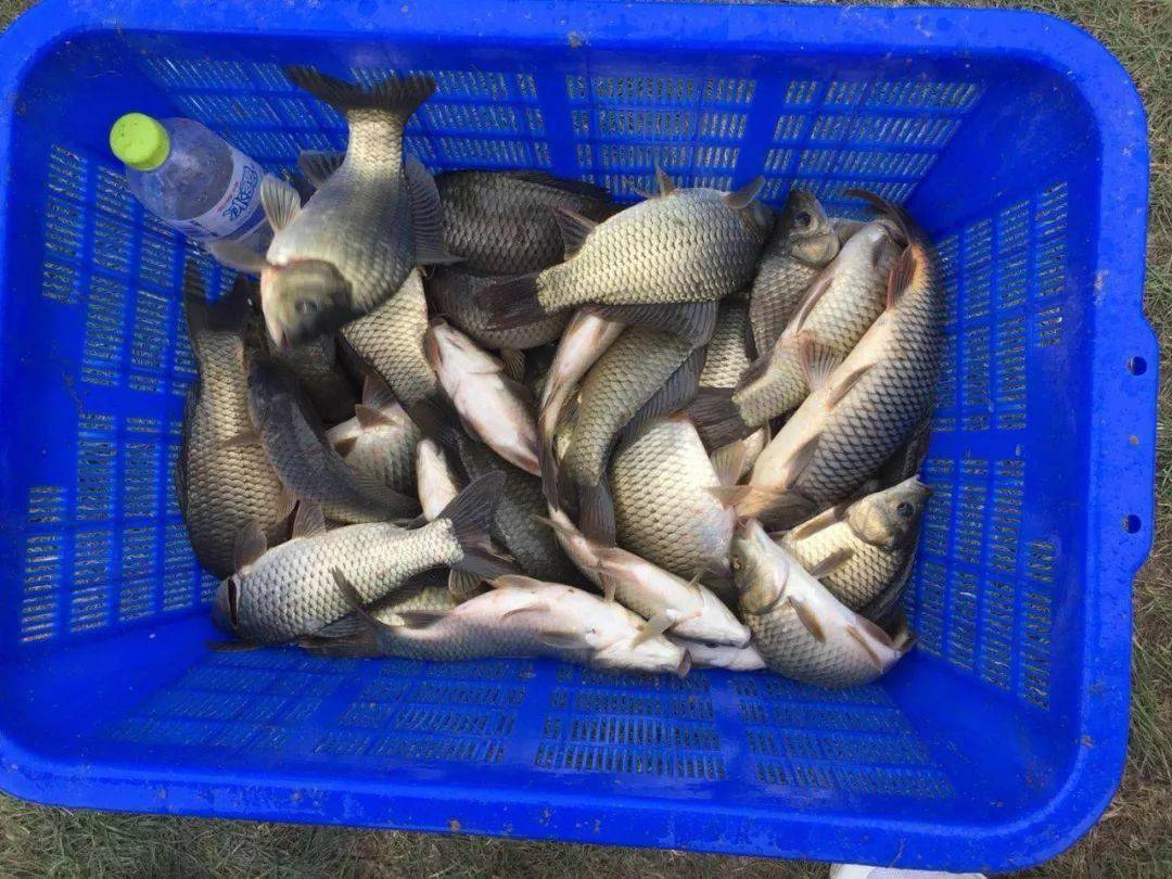 影响|还真不是个简单的事夏季钓深水