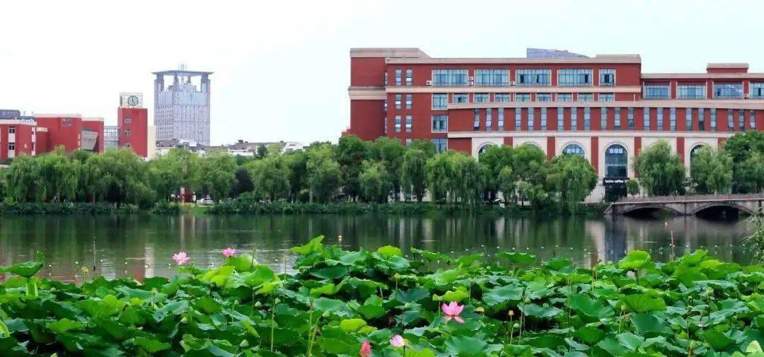 权威发布 浙江工业大学之江学院2020年招生计划发布_浙江省