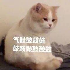 测评|10款热门粉底液测评!Dior居然输给了100+的开价品牌?