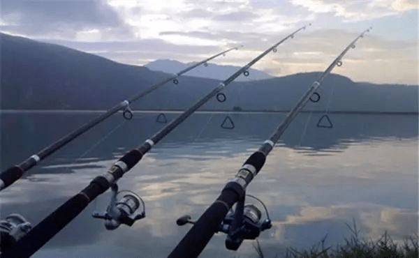 效果|让你轻松钓到大草鱼夏钓草鱼：图解串钩浮钓草鱼的三种方法