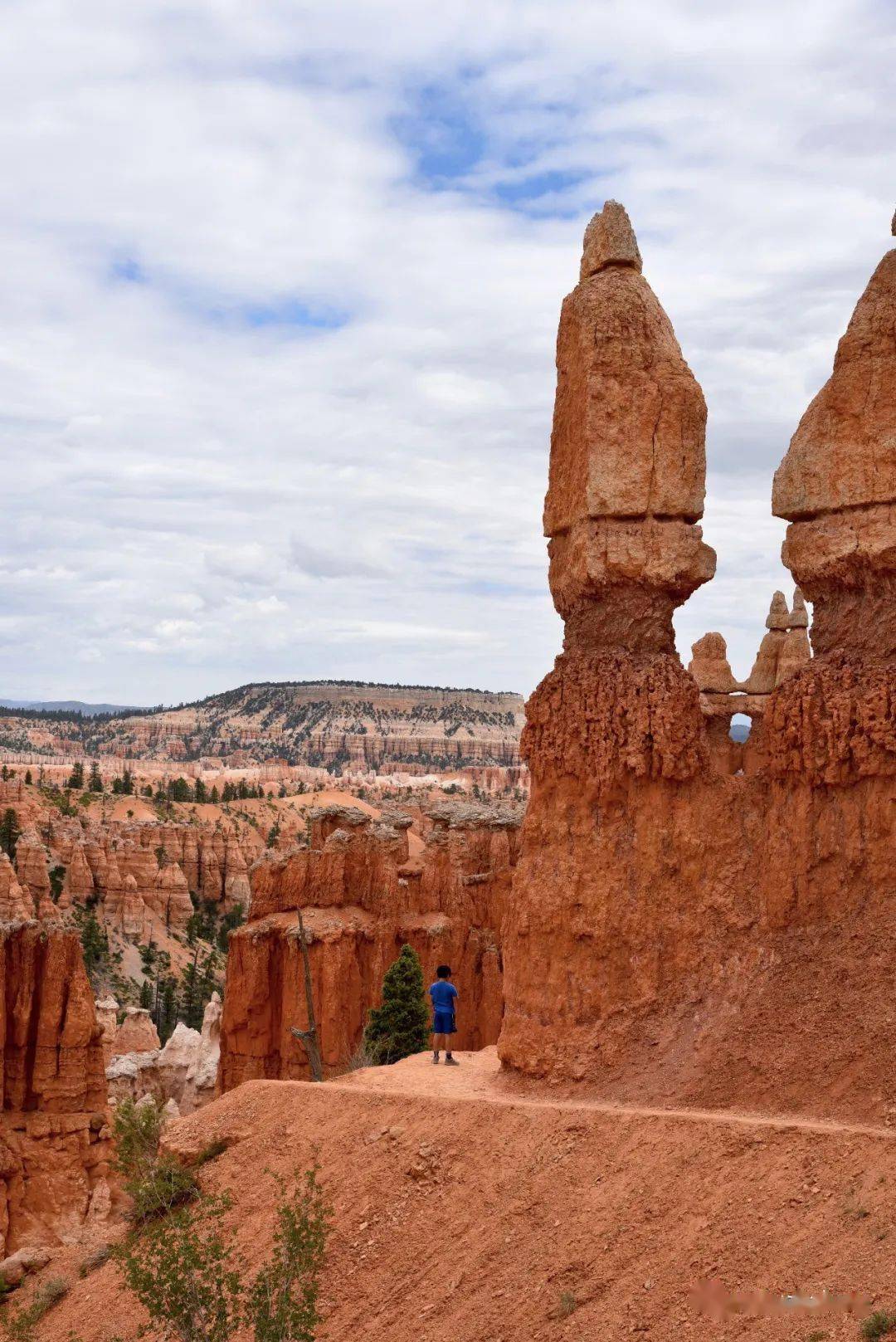 Ruby|139.『Ruby美食』一起去露营go camping～户外露营美食：晚餐篇