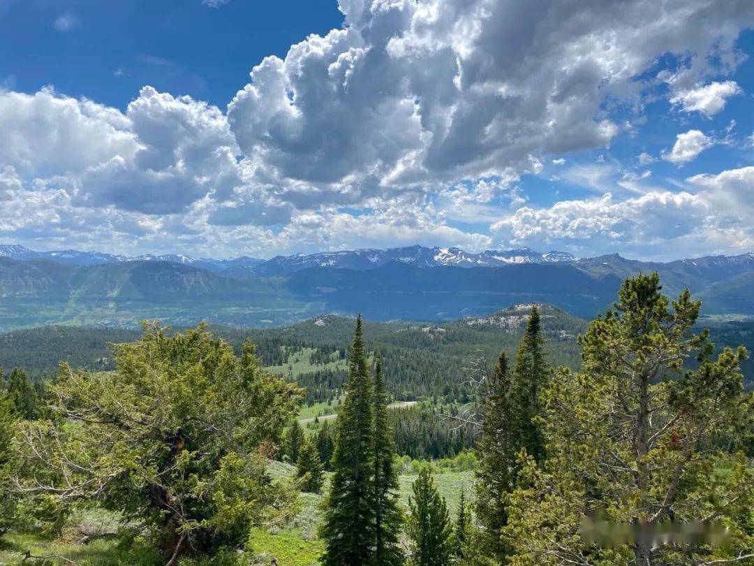 Ruby|139.『Ruby美食』一起去露营go camping～户外露营美食：晚餐篇