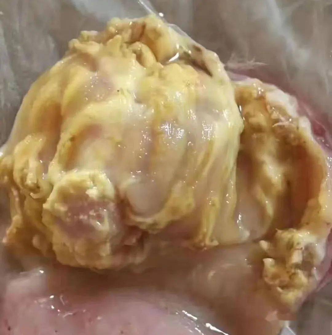 肉鸡腺肌胃炎,考虑这5点去防治,能解决90%养殖户的问题!