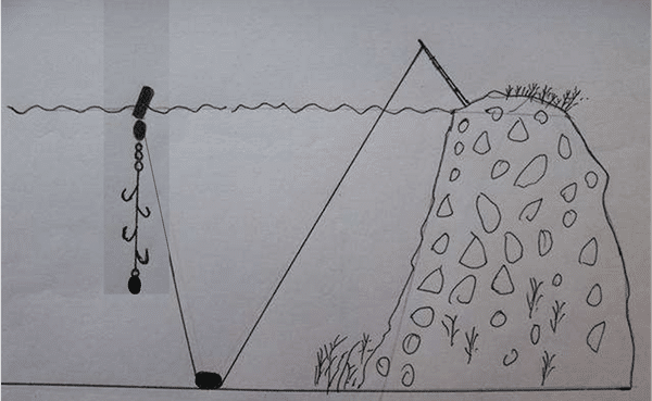 效果|让你轻松钓到大草鱼夏钓草鱼：图解串钩浮钓草鱼的三种方法