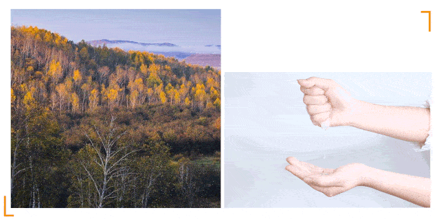 肌肤|40岁的逆袭 聪明的女人保鲜用这招