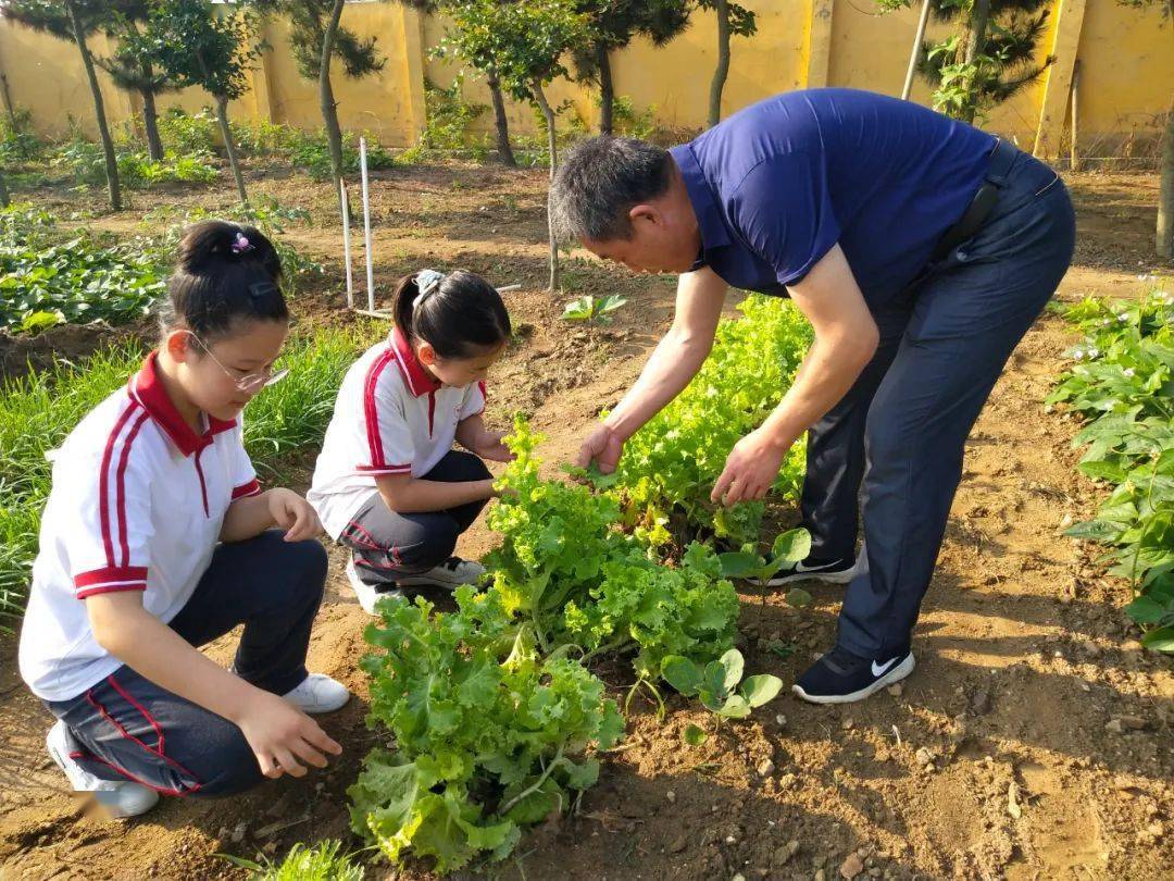 【劳育教育】精耕育人模式,深化劳动教育