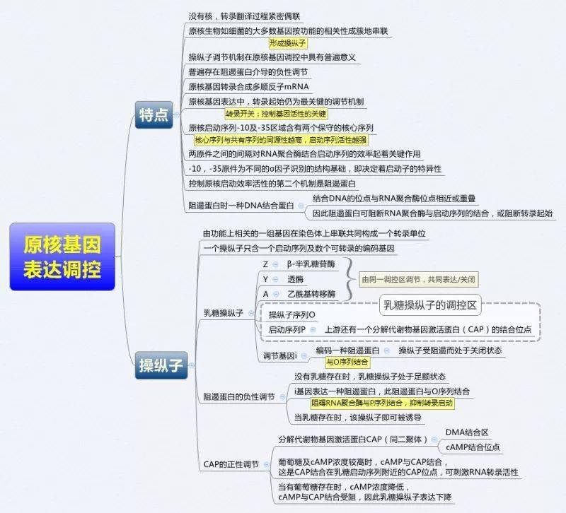 医学生必备:生物化学思维导图