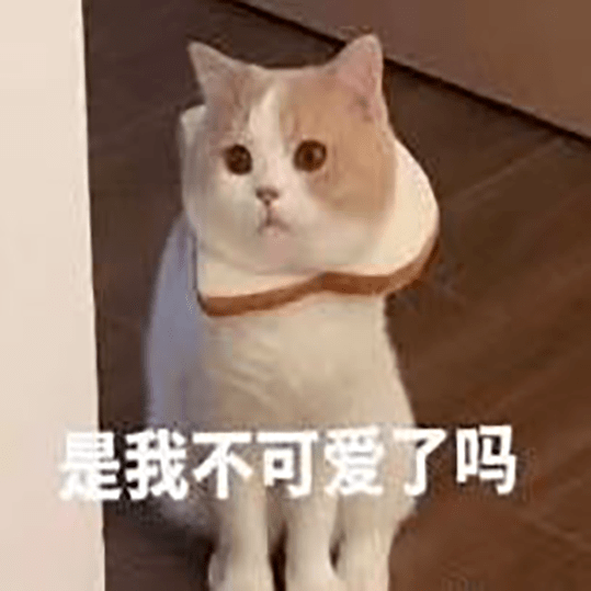 猫翻脸有多快?_表情