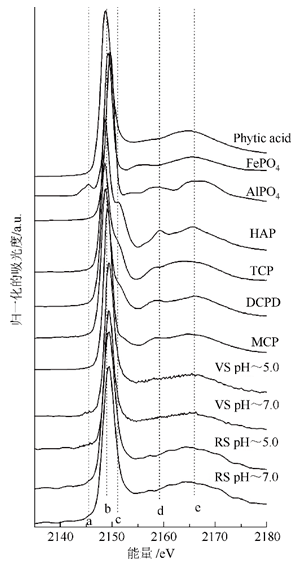 吸收近边结构(xanes)及磷-31核磁共振( 31p-nmr)光谱技术深入表征了