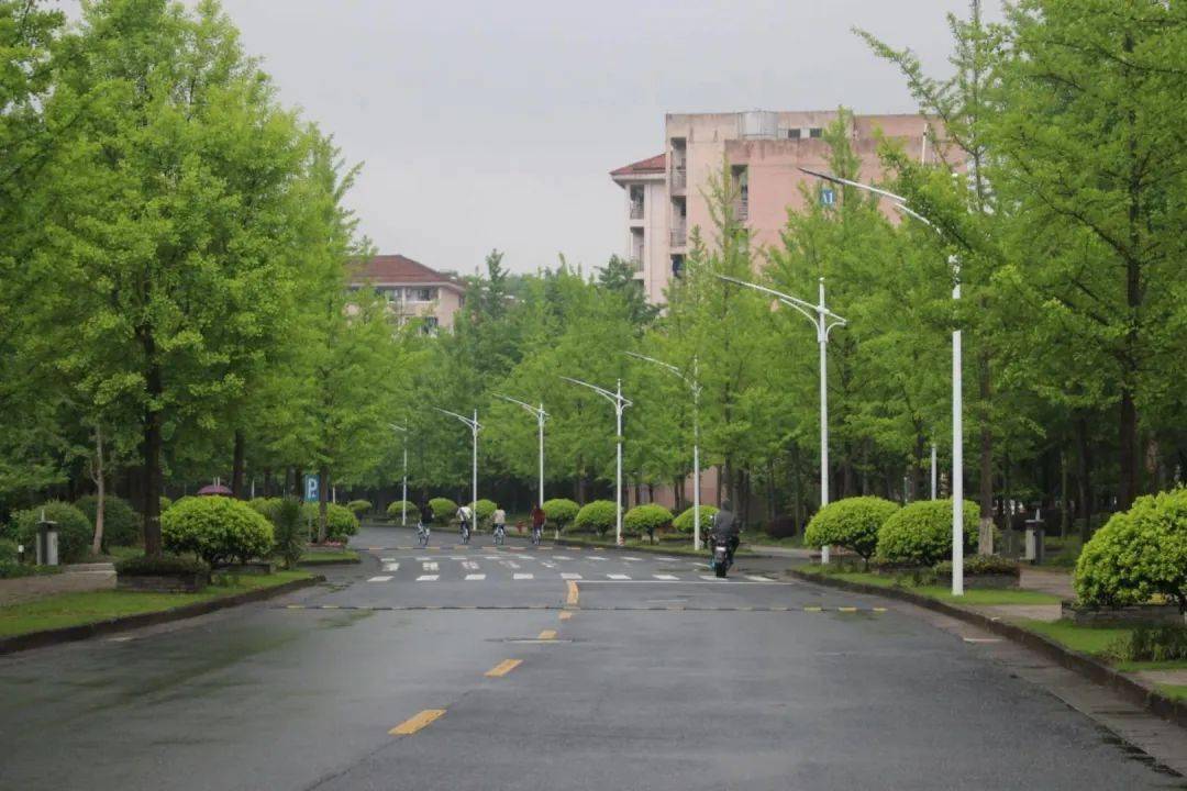 最美不是下雨天,而是和你一起走过的浙江农林大学校园