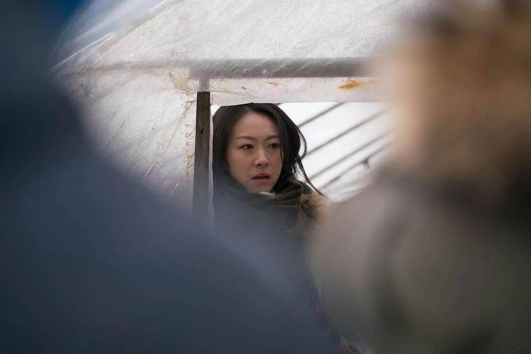 消息资讯|开票十分钟售出十万多张票，今年上海电影节片单看什么？