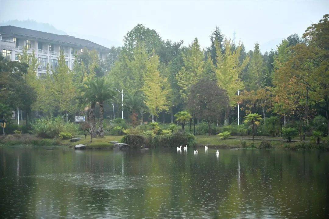 最美不是下雨天,而是和你一起走过的浙江农林大学校园