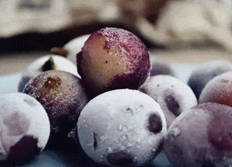 榴莲|这个夏天冰冰凉！网红水果配酒妙方