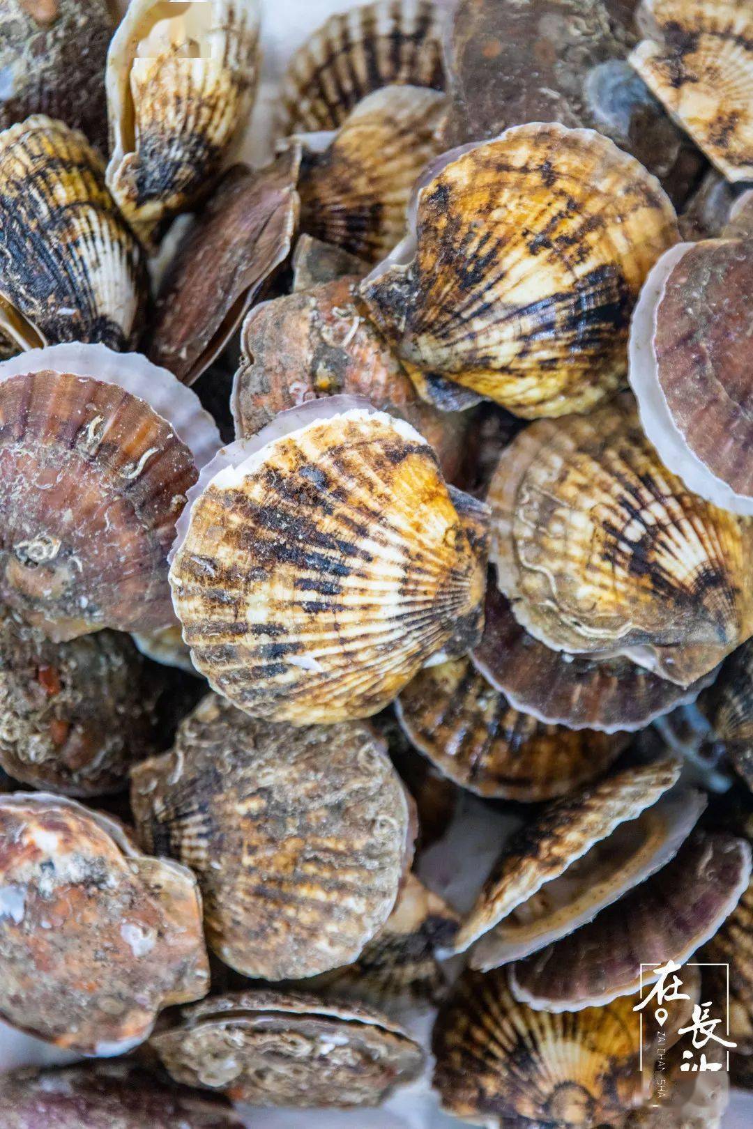 长沙|是什么来头？开业就爆店！惊现长沙海鲜烧烤界的新星之秀