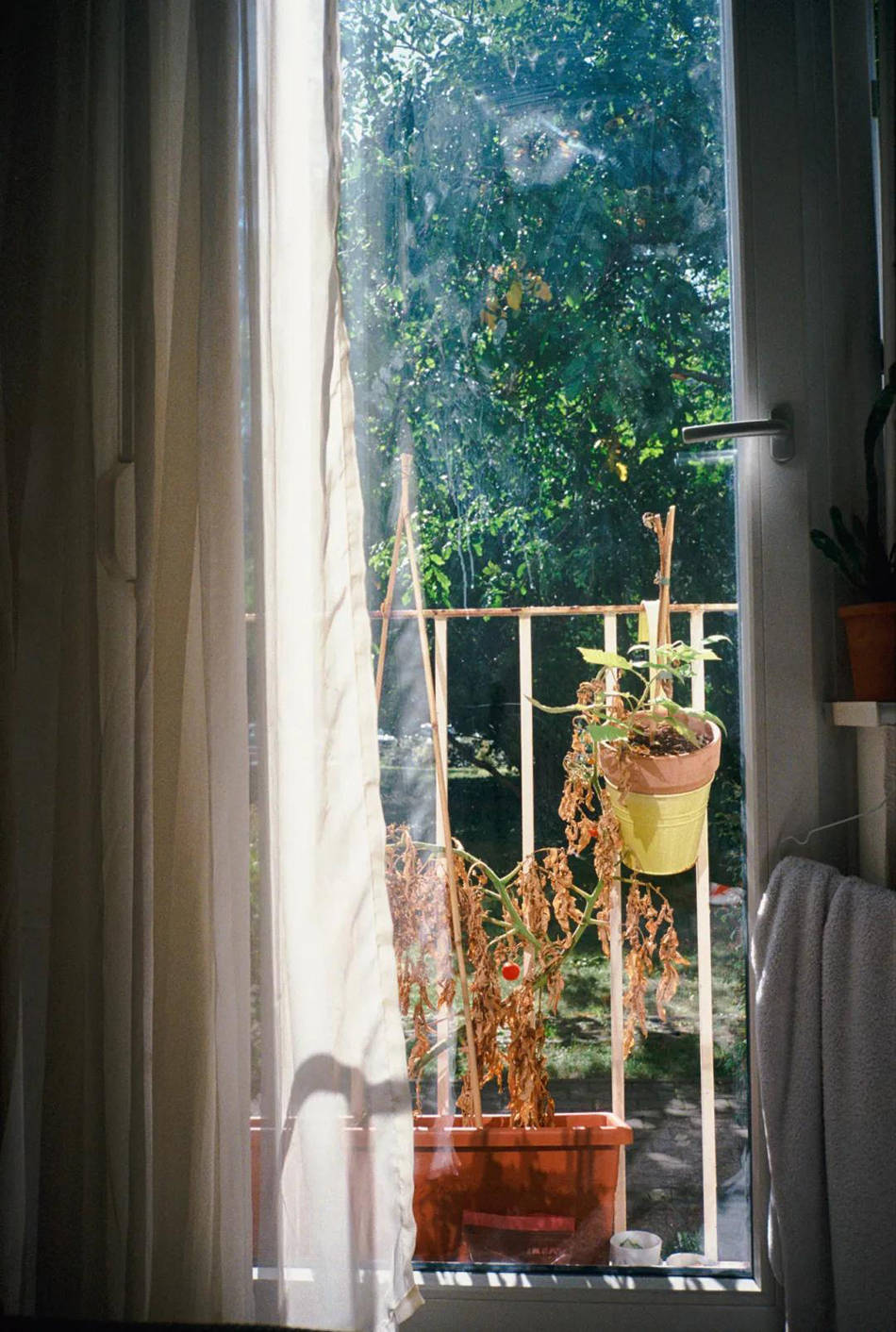 摄影展|看展览｜“时间胶囊”摄影展：《八十年代中学生》上海首展