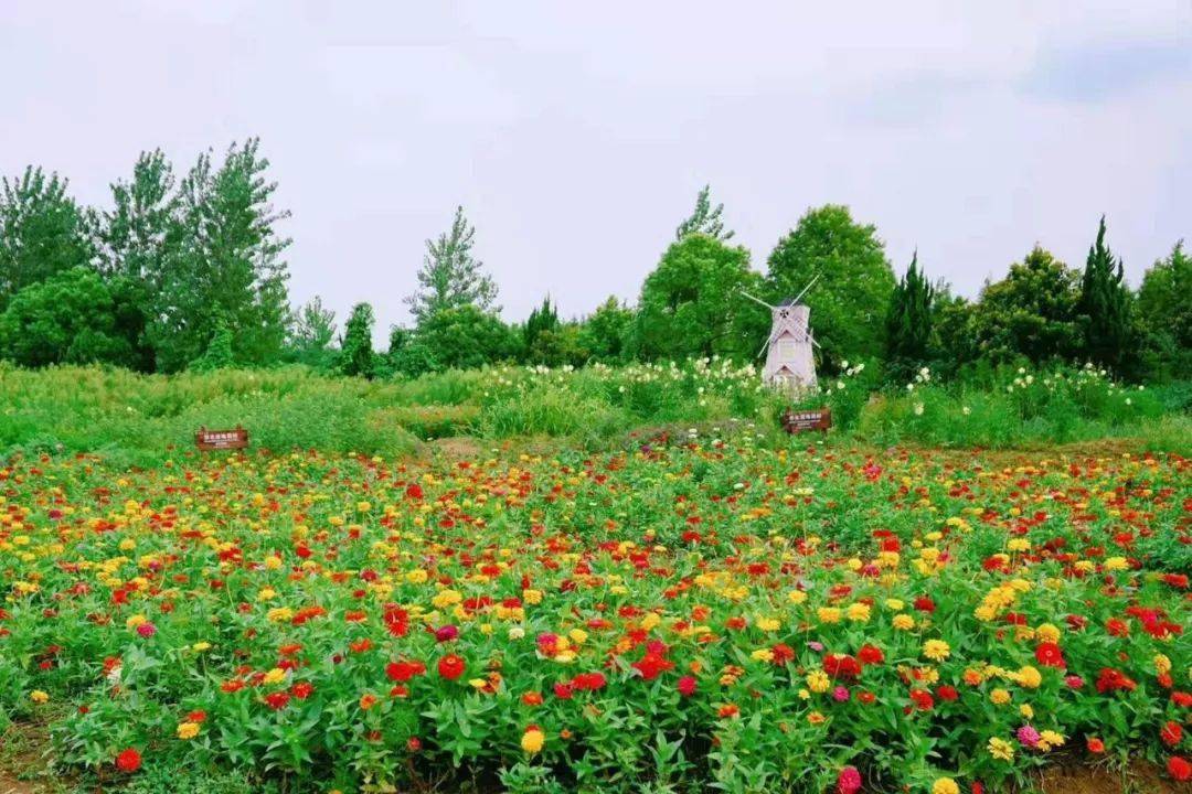 长江药用植物园