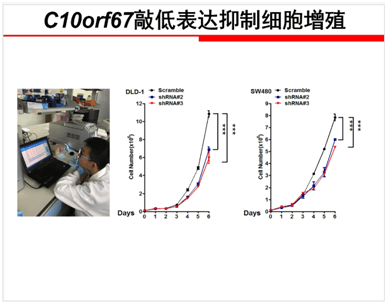 实验|小学生研究癌症，究竟坏在哪里