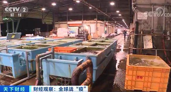 水产业|每公斤0.65元！这种日料店常见的鱼价格暴跌！吃货们急了