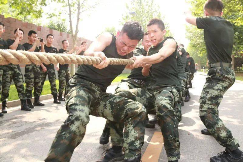 武警特种警察学院2020年在31省份招生计划(附往年分数线)