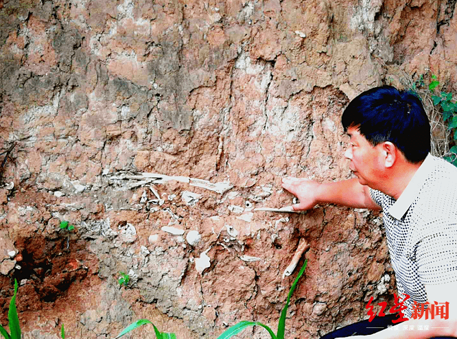 长平之战|山西发现疑似长平之战尸骨坑：尸骨曾被收购做饲料 现拟建国家文化公园