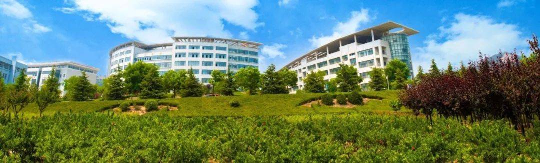 青岛|招生季 | 青岛科技大学“拍了拍”你招生简章了解一下