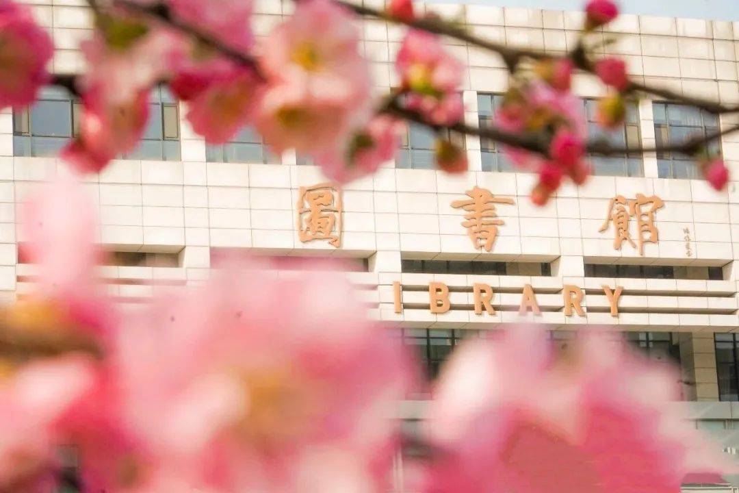 齐鲁|招生季 | 齐鲁工业大学“拍了拍”你招生简章了解一下