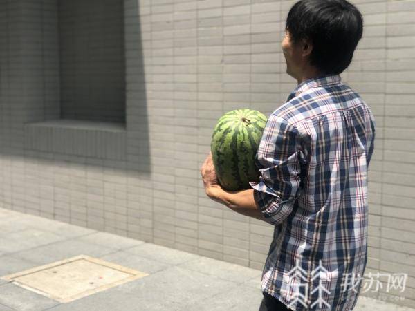 西瓜|汛情影响销路，南京中学老师帮助学校社工销售六千斤西瓜