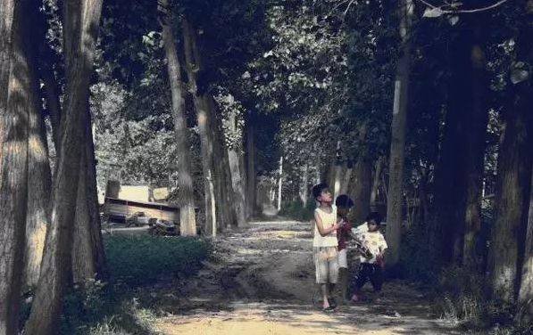 夏天|我们是这样度过夏天的!20年前没有空调