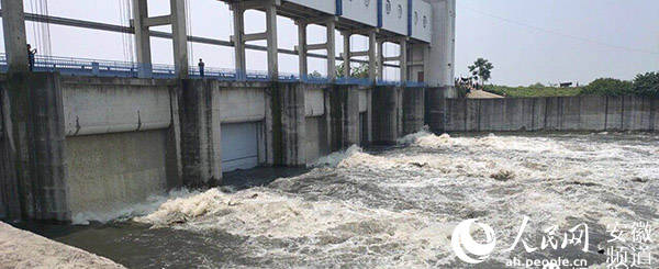 蓄洪|为保淮河下游安全，安徽颍上一日内启用三大行蓄洪区