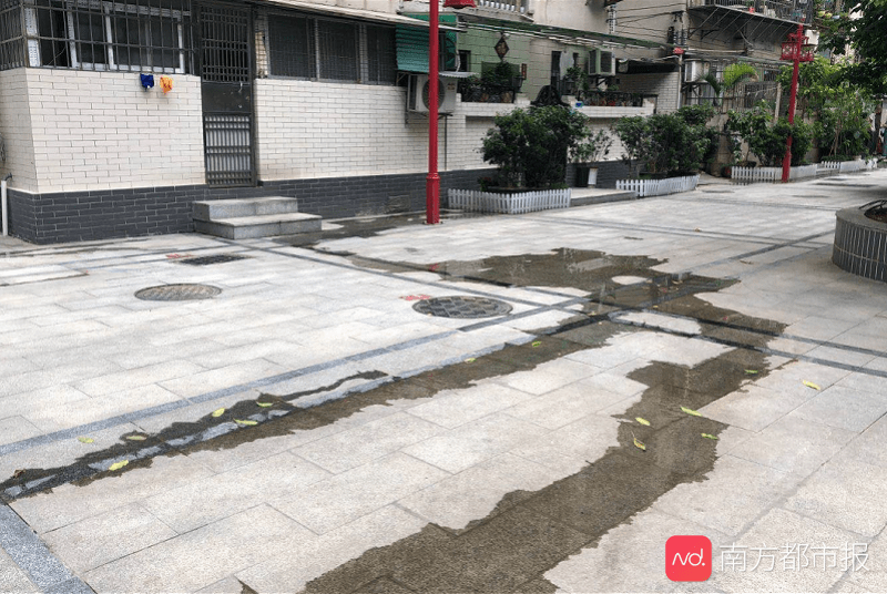 小区|广州一小区遭隔壁污水流入，粪臭味持续两个月