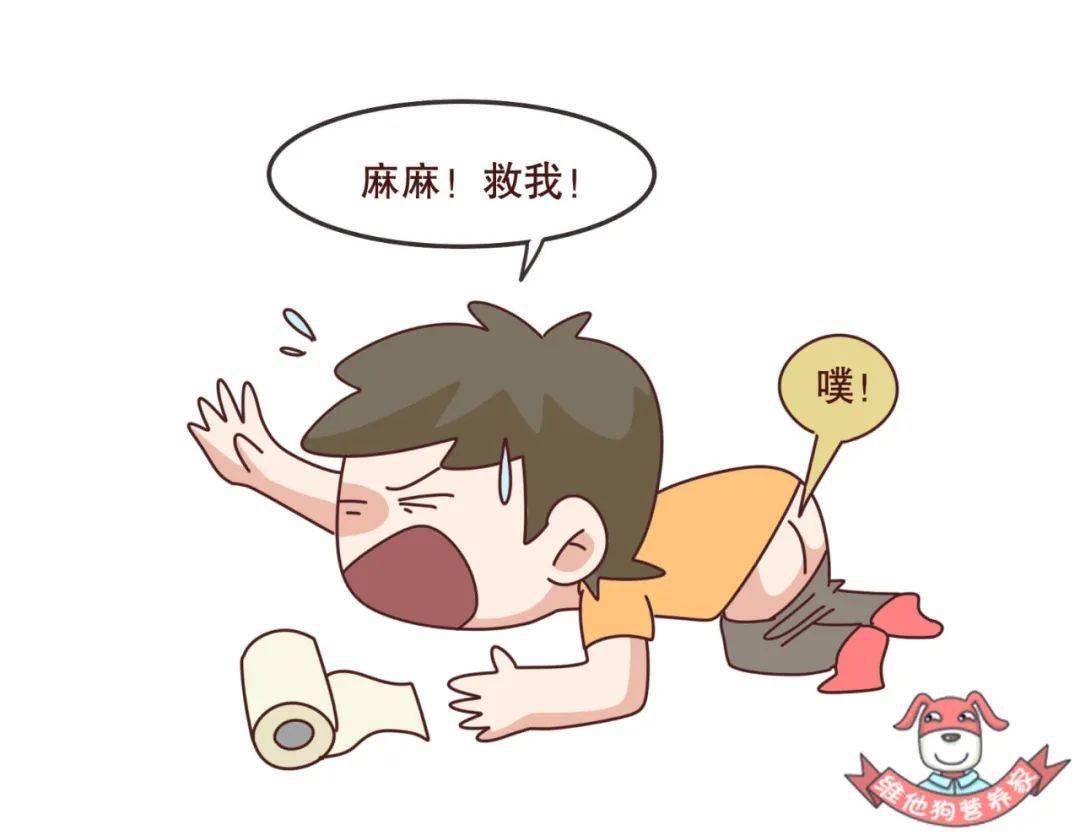 老是腹泻,放臭屁?肠道的健康调理必须先了解这几个问题!