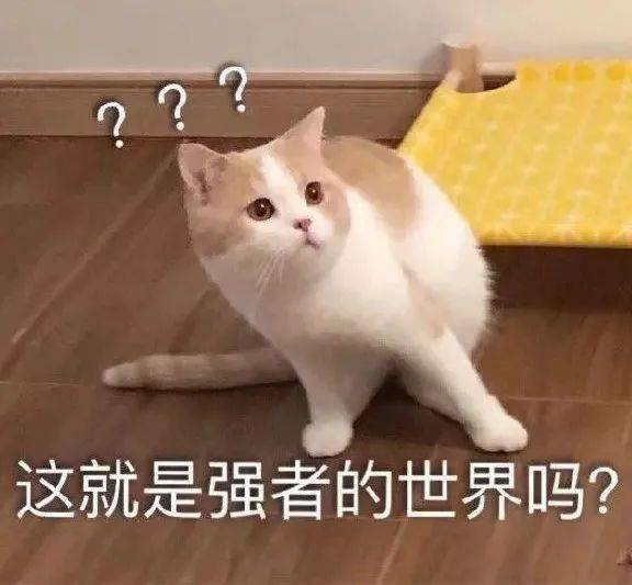 圆脸|果然，圆脸女生都太“假”了！