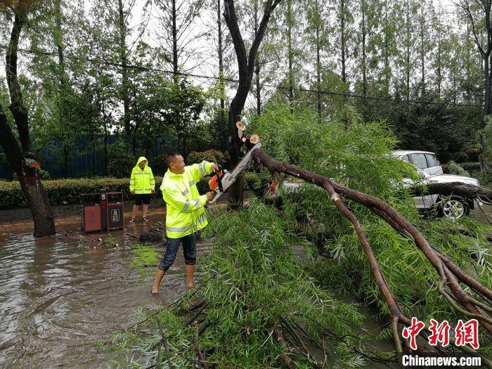 漯河市区人口_河南漯河市区图片(2)