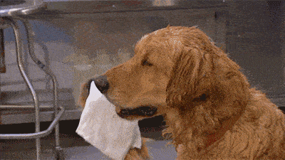 国潮|夏日护理推荐|“国潮”小众简美多效洗护套装拍了拍你！