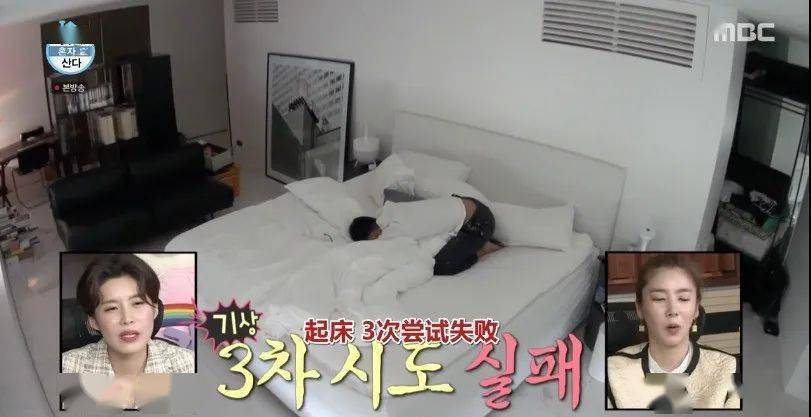 中韩|顶流男神58亿独居豪宅大曝光，中韩网友全傻眼：猫也有独卫？！