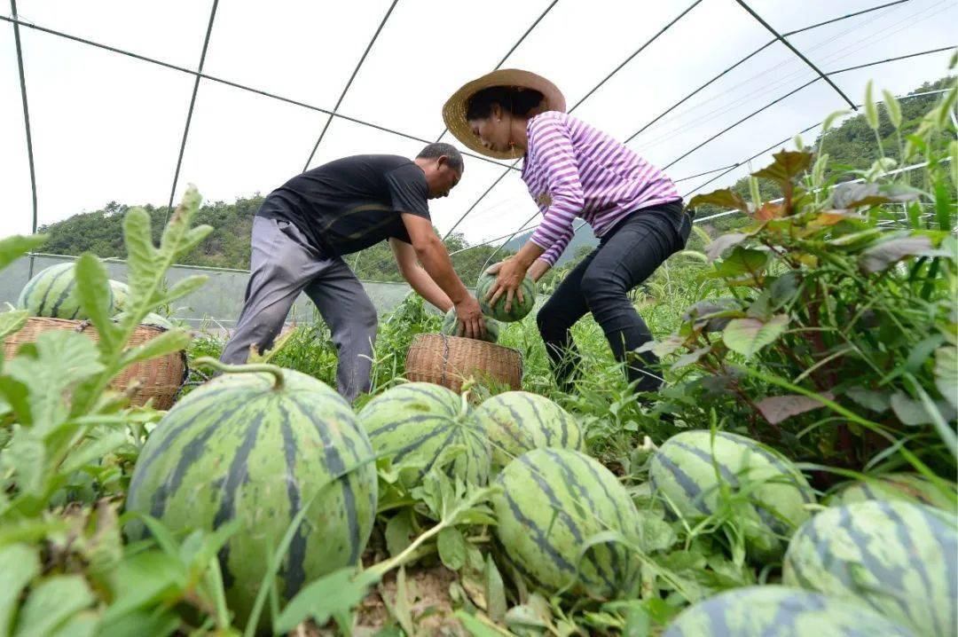 通辽保康多少人口_保康聚龙山海拔是多少(2)