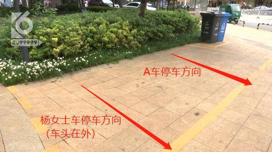 车位|小区停车场里停车被贴罚单？车主：我真是哔哔哔哔哔